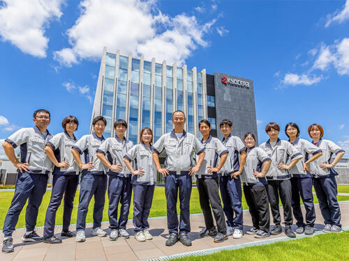 Taking on the Challenge as a Team: The Automotive Peltier Module