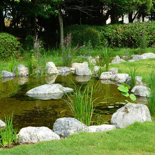 >Yasu Factory Biotope fireflies